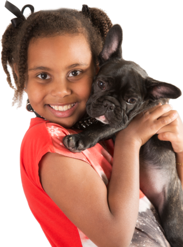 Young Black girl, smiling, wearing a red shirt, hugging a black French Bulldog, both looking at the camera.